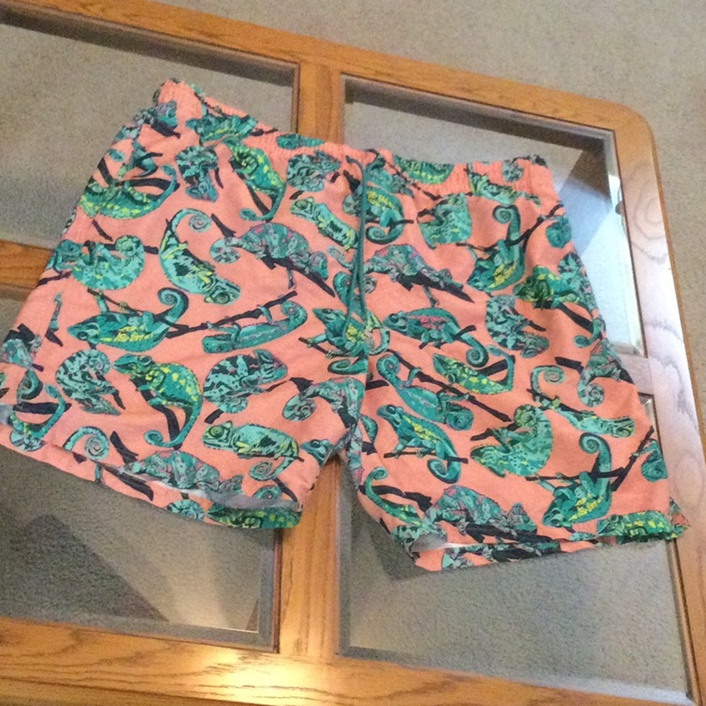 Swim trunks size 2 or 3X